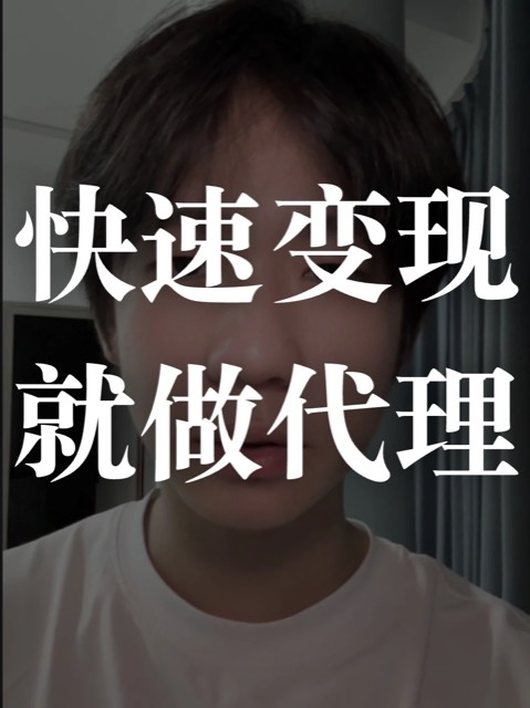 想要快速变现就做代理 封面